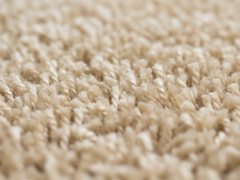 Close-up of clean carpet fibres after professional hot water extraction